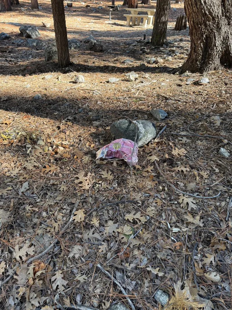 2 foil balloons found in nature, published Oct 15, 2026