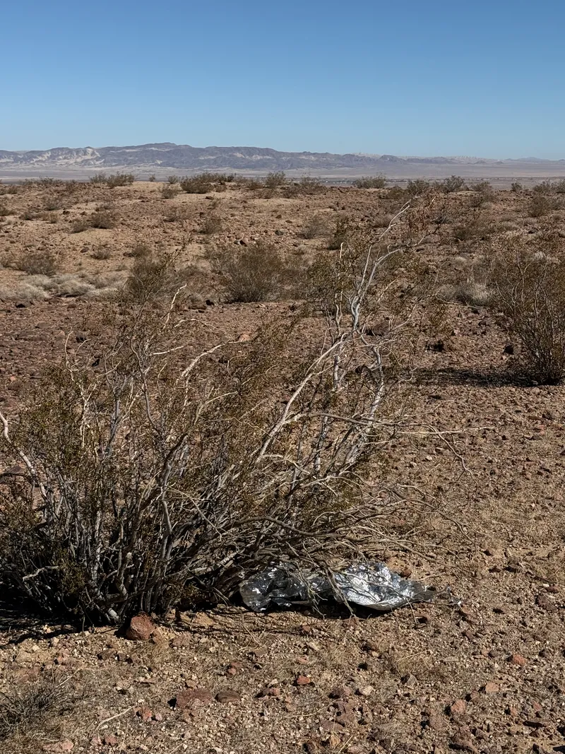 A foil balloon found in nature, published Oct 15, 2026
