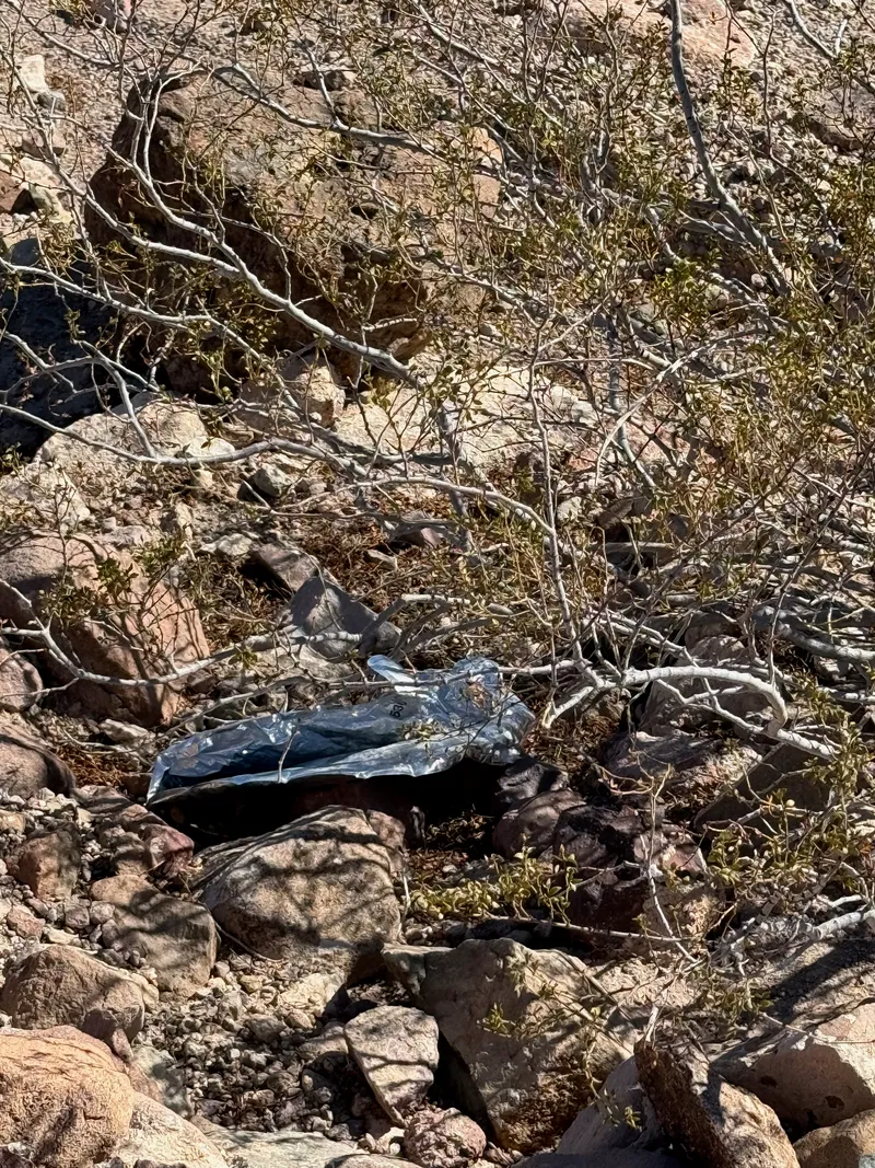 A foil balloon found in nature, published Oct 15, 2026