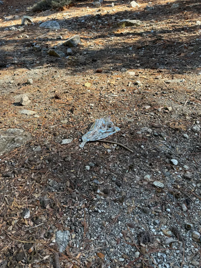A foil balloon found in nature, published Oct 15, 2026